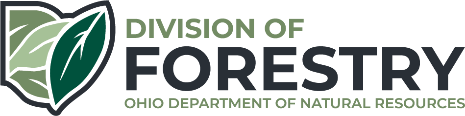 Division of Forestry